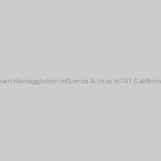 Image of Recombinant Hemagglutinin Influenza A Virus H1N1 California/06/2009